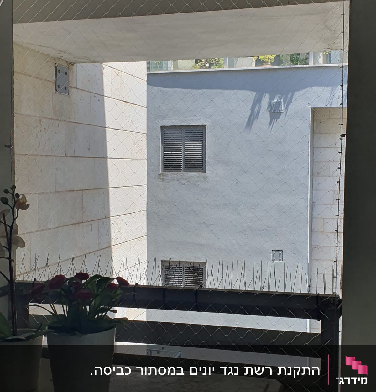 רשת נגד יונים ומחטי מתכת על מעקה